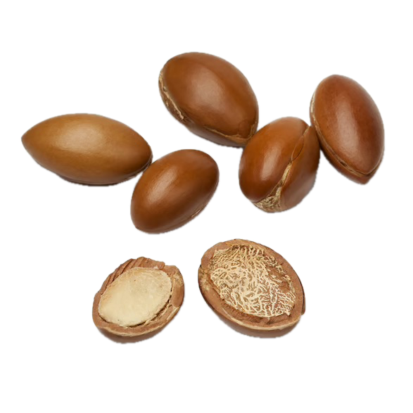 Argan